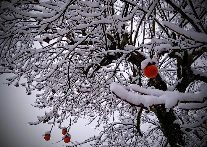 Hotel Monastero Le Grazie 4*